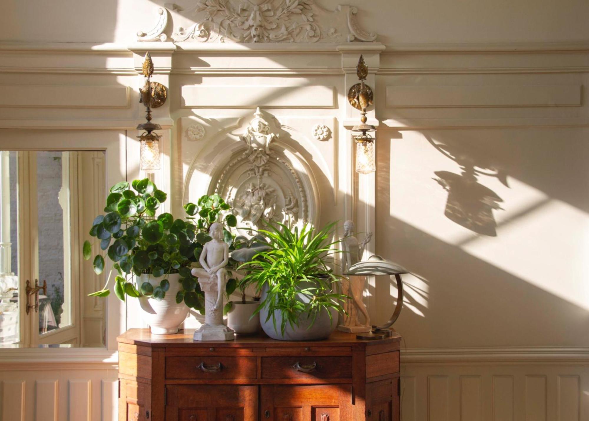 Huis Dujardin Bed&Breakfast แอนต์เวิร์ป ภายนอก รูปภาพ