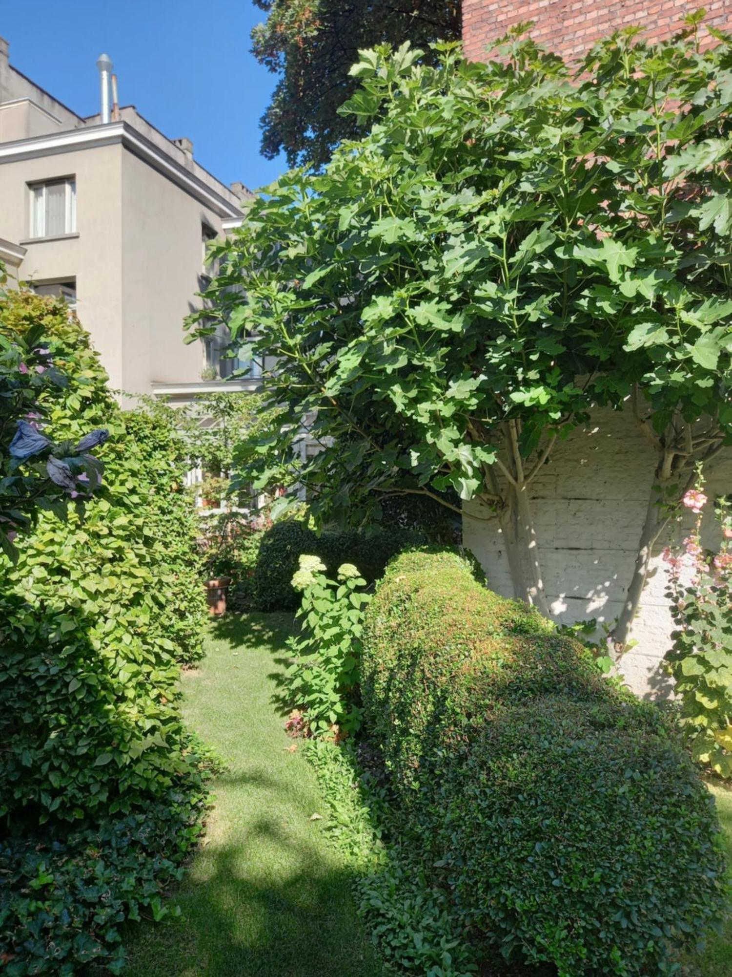 Huis Dujardin Bed&Breakfast แอนต์เวิร์ป ภายนอก รูปภาพ