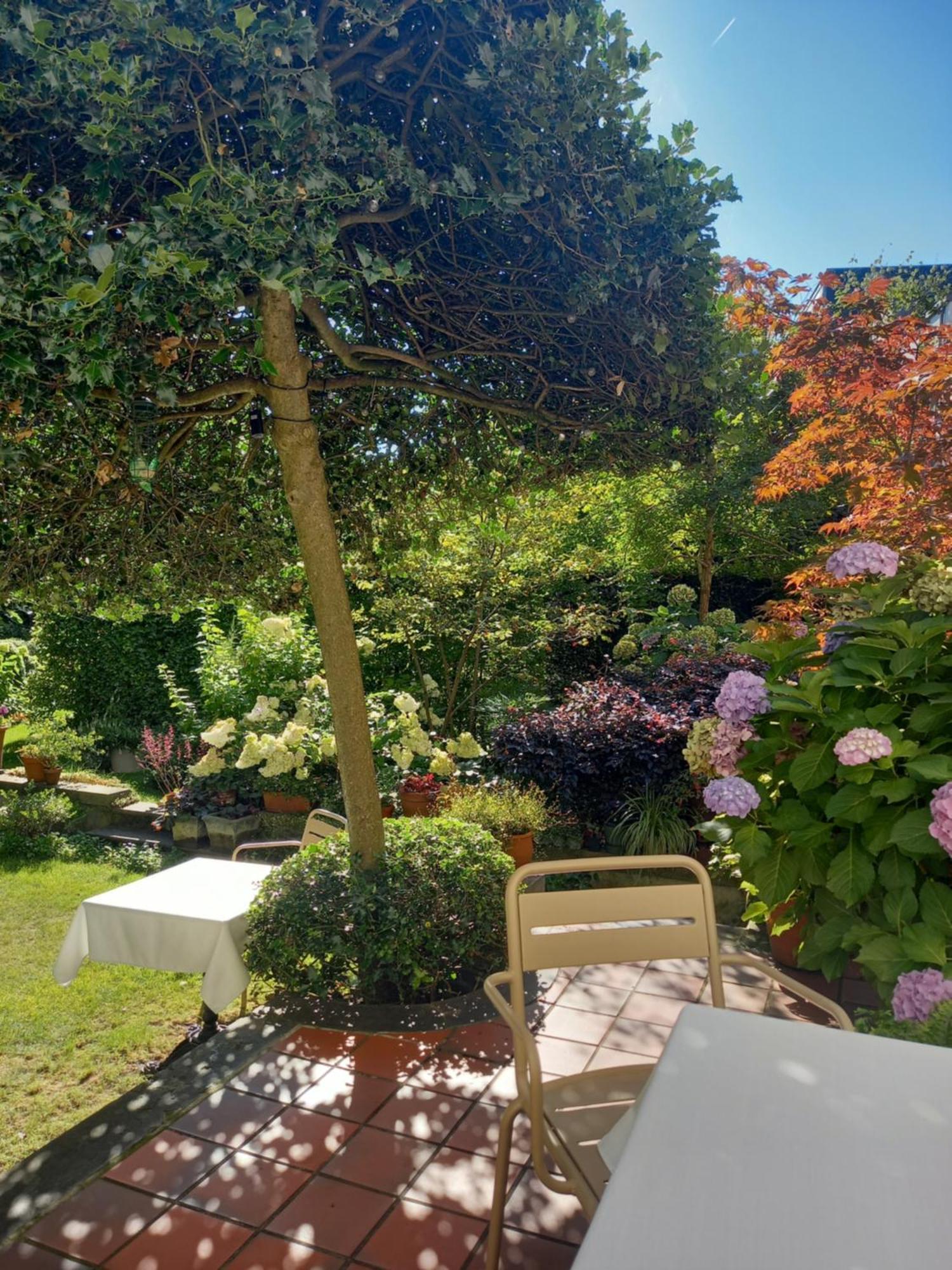 Huis Dujardin Bed&Breakfast แอนต์เวิร์ป ภายนอก รูปภาพ