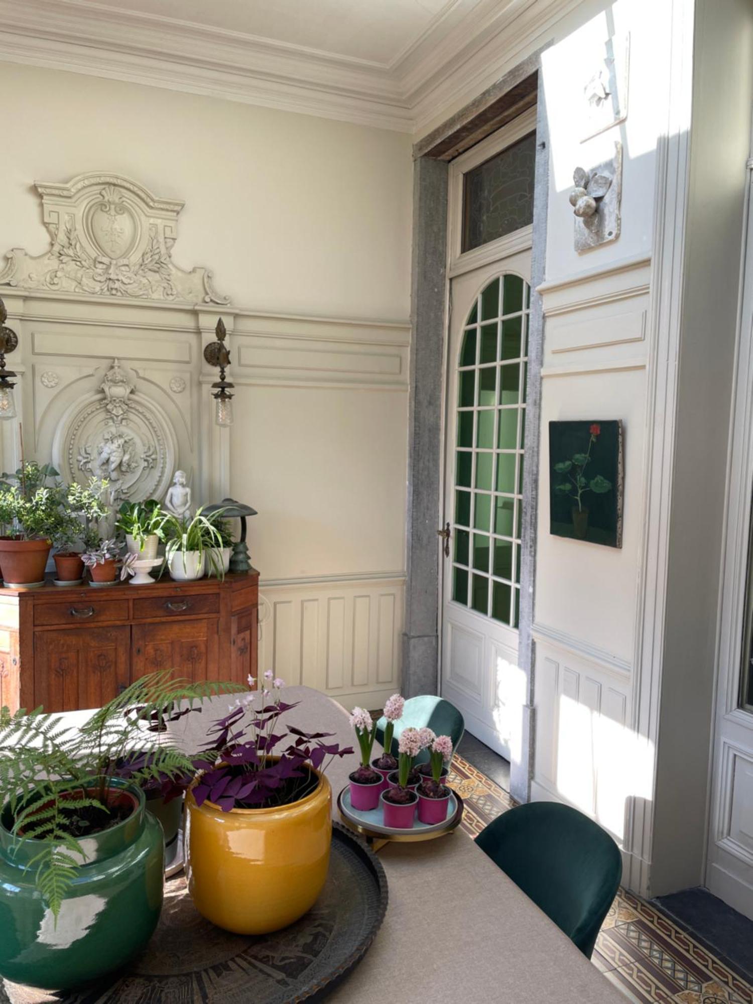 Huis Dujardin Bed&Breakfast แอนต์เวิร์ป ภายนอก รูปภาพ